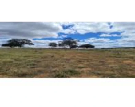 Sítio em Afrânio, Sítio Bandeira, lugar denominado de Sítio Bandeira, nas terras da fazenda Urubu, PE. Área: 32.5m2