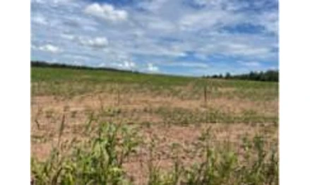 Fazenda em Ipameri, Fundão Boa Vista, GO-213 saída Caldas Novas, margens do Ribeirão Santo Antônio, GO. Área: 242m2