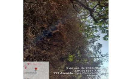 Terreno em Mateus Leme, Recanto Do Lago, Avenida José Pereira dos Reis, s/n - Lote 01, Quadra 10, MG. Área: 360m2