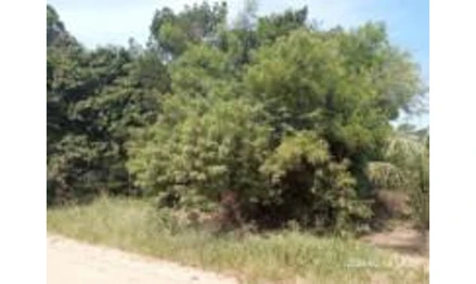 Terreno em Tapes, , Rua "A", RS. Área: 475.98m2