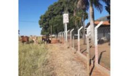 Sítio em Estrela d'Oeste, , Fazenda Santa Rita, Distrito de Dolcinópolis, Sítio Nossa Senhora Aparecida, SP. Área: 12.1m2