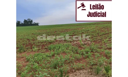 Área rural em Toledo, Distrito De Vila Nova, Zona Rural (Distrito de Vila Nova), PR. Área: 76560m2 Área rural em Toledo, Distrito De Vila Nova, Zona Rural (Distrito de Vila Nova), PR. Área: 76560m2