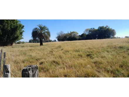 Gleba em Dom Pedrito, 5º Sub-Distrito, RS /Dom Pedrito, RS. Área: 47301m2