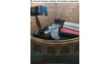 Casa em Lagoa da Confusão, , Rua José Rodrigues, TO. Área: 467.07m2