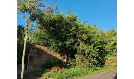 Terreno em Porto Alegre, Jardim Floresta, Rua Doutor Ernesto Miranda, 226, RS. Área: 858m2