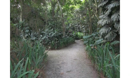 Terreno urbano em Carapicuíba, Parque Primavera, Rua José Guardino, Lote 17, Gleba 4, Estrada da Aldeia, nº 1495, Condomínio Parque Primavera, Carapicuíba, SP, SP. Área: 3069m2