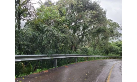 Terreno em Rolante, Boa Esperança, localidade denominada Boa Esperança, no distrito de Boa Esperança, em Rolante/RS, RS. Área: 34960m2