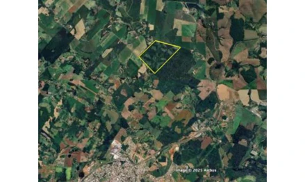 Terreno em Xaxim, , Linha Pocinho, SC. Área: 698780m2 Terreno em Xaxim, , Linha Pocinho, SC. Área: 698780m2