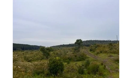 Terreno em Curitibanos, Caraguatá, SC /São Cristovão do Sul, SC. Área: 872491m2