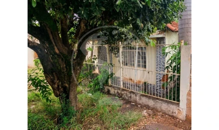 Terreno urbano com casa de madeira em São José do Rio Preto, Boa Vista, Rua Luiz Antônio da Silveira, 1843, SP. Área: 243.65m2
