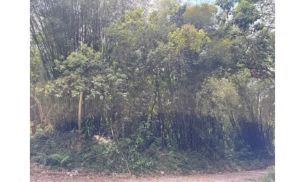 Terreno em Ribeirão Pires, Vila Pereira Barreto, Rua Pedro Álvares Cabral, Vila Pereira Barreto, Ribeirão Pires/SP, SP. Área: 2740m2