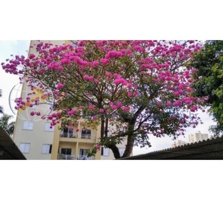 Apartamento em São José dos Campos, Cidade Morumbi, Rua Gisele Martins, 291, SP. Área: 55.506m2
