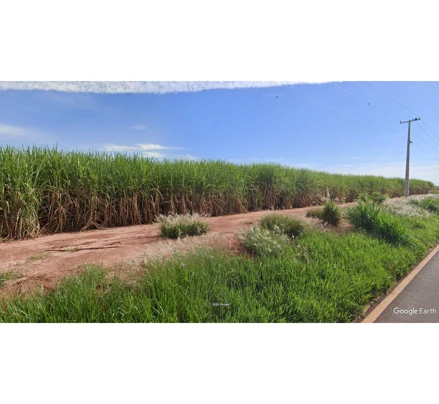Área rural em Nova Esperança, , Rodovia Júlio Zacharias (PR-555), PR. Área: 6.66m2 Área rural em Nova Esperança, , Rodovia Júlio Zacharias (PR-555), PR. Área: 6.66m2