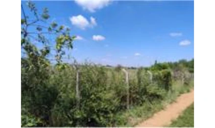 Área rural em Novo Horizonte, Alto Da Vila Patti, Fazenda Ponte Alta, com a denominação de CHÁCARA BOA VISTA, NOVO HORIZONTE/SP, SP. Área: 32303.5m2