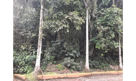 Terreno em Ubatuba, Praia Do Félix, Praia do Félix (Praia do Lúcio), Ubatuba - SP, 11680-000, SP. Área: 830m2