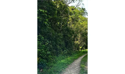 Terreno em Itapecerica da Serra, Estância Belvedere, Estrada interna que separa o setor n.34 do setor 35, SP. Área: 12600m2
