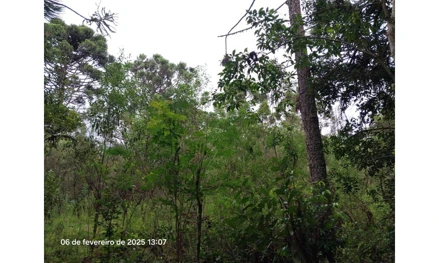 Área rural em Lapa, , lugar denominado "ESPIGÃO", PR. Área: 20227m2
