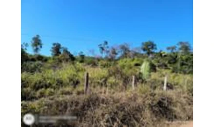 Área rural em Rio Crespo, , Lote 28 do Projeto de Assentamento Dirigido Marechal Dutra, Gleba 16, RO. Área: 98m2