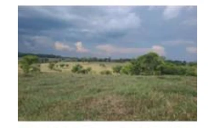 Lote rural em Novo Horizonte do Oeste, , Lote Rural nº 59-A, Gleba 08, Projeto Fundiário Guajará-Mirim Setor Lacerda e Almeida, RO. Área: 1.815m2