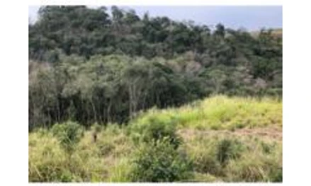 Área rural em Prudentópolis, Relógio, Relógio, Prudentópolis/PR, PR. Área: 78196m2