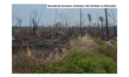 Fazenda em Porto Velho, , Lote rural nº. 36, Setor Manoa, Gleba 17, Projeto Fundiário Alto Madeira, RO. Área: 286.4495m2