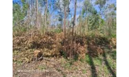 Área rural em Eldorado do Sul, , Estrada 36, Loteamento Rural Eldorado - 4ª Parte, zona urbana, RS. Área: 726.22m2