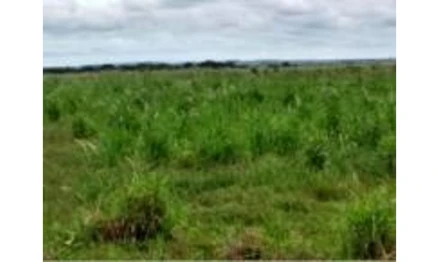 Terreno em Conceição das Alagoas, Loteamento Residencial Cidade Das Águas, Rua 24, MG. Área: 246.57m2