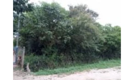 Terreno em Tapes, Pinvest, Rua Quinze de Novembro, nº 512, RS. Área: 360.18m2