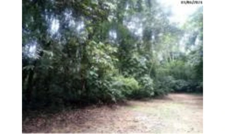 Terreno em Caraguatatuba, Massaguaçu, Loteamento Park Imperial, Fazenda Getuba, Massaguaçu, SP. Área: 1466.01m2