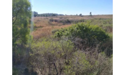 Terreno em Pelotas, , Estrada Federal BR 293, Km 136,5, RS. Área: 3127.48m2