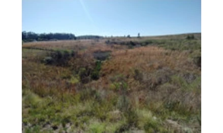 Terreno em Candiota, , Estrada Federal BR 293, Km 136,5, RS. Área: 3526.19m2