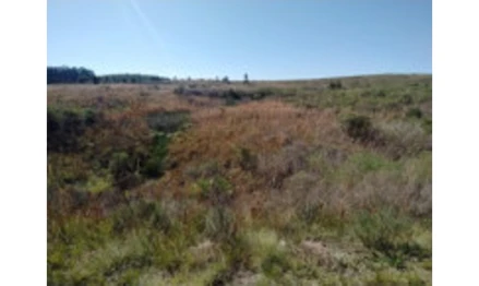 Terreno em Candiota, , Estrada Federal BR 293, Km 136,5, RS. Área: 3732.12m2