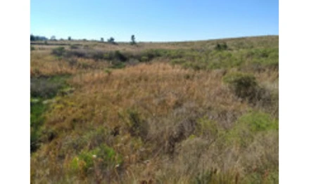 Terreno em Candiota, , Estrada Federal BR 293, Km 136,5, RS. Área: 3942.29m2
