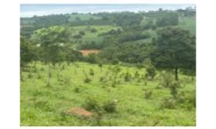 Chácara em Elói Mendes, Sítio Boa Vista, Estrada de terra Elói Mendes - Cordislândia/Guaipava, Km 19, ao lado Fazenda Primavera, MG. Área: 25400m2