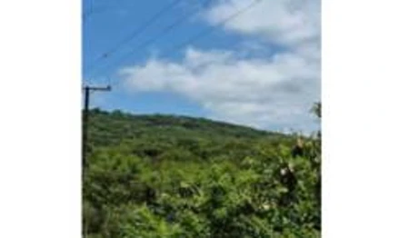 Terreno em Matinhos, , Rodovia PR-508/Estrada Alexandra-Matinhos, PR. Área: 416043.95m2
