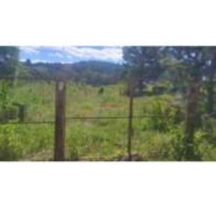 Terreno em Palmas, Lagoão, Estrada Pitanga (Estrada Antônio Batista Ferreira), PR. Área: 10368m2