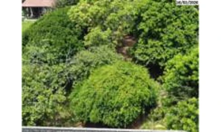 Apartamento em Vitória, Jardim Atlântico, Rua Jupira, nº 06, Jardim Atlântico, ES. Área: 360m2