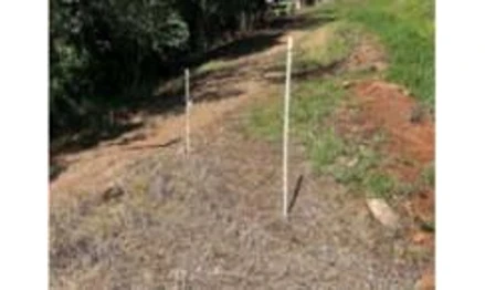 Sítio em Matelândia, , nº 131, da Gleba nº 5 do imóvel Guairacá, sequência da Estrada Rio Sabiá, PR. Área: 21.7216m2