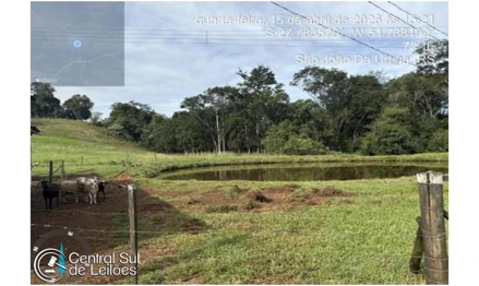 Galpão em São João da Urtiga, , Linha Santo Antônio, RS. Área: 26000m2