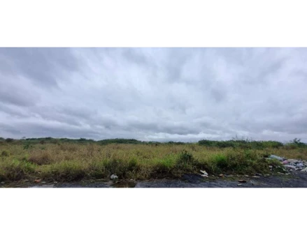 Área rural em Itaquaquecetuba, Rio Abaixo, Estrada da Figueira, s/n - Rio Abaixo (em frente da Escola EMEB Dona Antonia Cicone), SP. Área: 114678.69m2