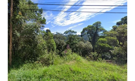 Terreno em Campos do Jordão, Recanto Das Araucárias, Rua Annita Montesi Rodrigues, Recanto das Araucárias, SP. Área: 1158m2