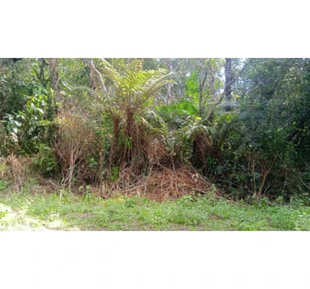 Terreno em Iguape, Rio Pindú-Mirim, Rio Pindú-Mirim, Quadra CX, Lote nº 09, Loteamento Aquarius I, Rua 15, SP. Área: 450m2