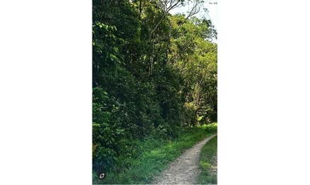 Chácara em Juquitiba, Estância Belvedere, Chácara 10, Setor 34, Estância Belvedere, SP. Área: 12600m2
