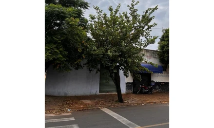 Comercial em Lins, Nucleo Hab. Monsenhor Pasetto, rua Dr. Alberto Cardoso n 828, SP. Área: 106.33m2