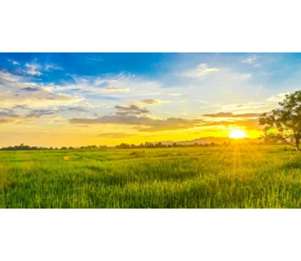 Fazenda em Lagamar, CANA BRAVA OU TERRA VERMELHA, FAZENDA SÃO BRAZ- LUGAR CANA BRAVA OU TERRA VERMELHA, MG. Área: 136.67m2