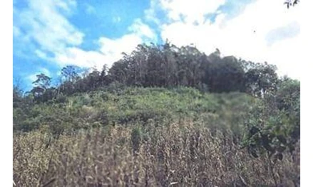 Área rural em Barão, Linha Cairú, Linha Cairú, Barão/RS, RS. Área: 50000m2