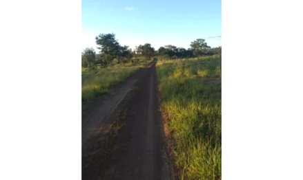 Área rural em Presidente Olegário, , FAZENDA PRATA DOS NETOS- LUGAR DENOMINADO CERRADO, MG. Área: 454.2135m2
