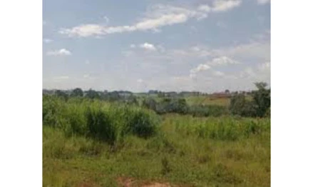 Área rural em Lagamar, , FAZENDA ALMAS- LUGAR CAPÃO DA CACHOEIRA, MG. Área: 3.8865m2