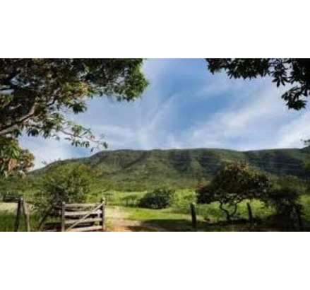 Fazenda em Colônia Leopoldina, Zona Rural, Zona Rural, S/N, AL. Área: nullm2