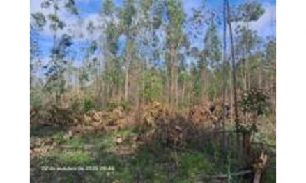 Área rural em Eldorado do Sul, Loteamento Rural Eldorado - 4ª Parte, Estrada 36, Loteamento Rural Eldorado - 4ª Parte, zona urbana, RS. Área: 741.67m2